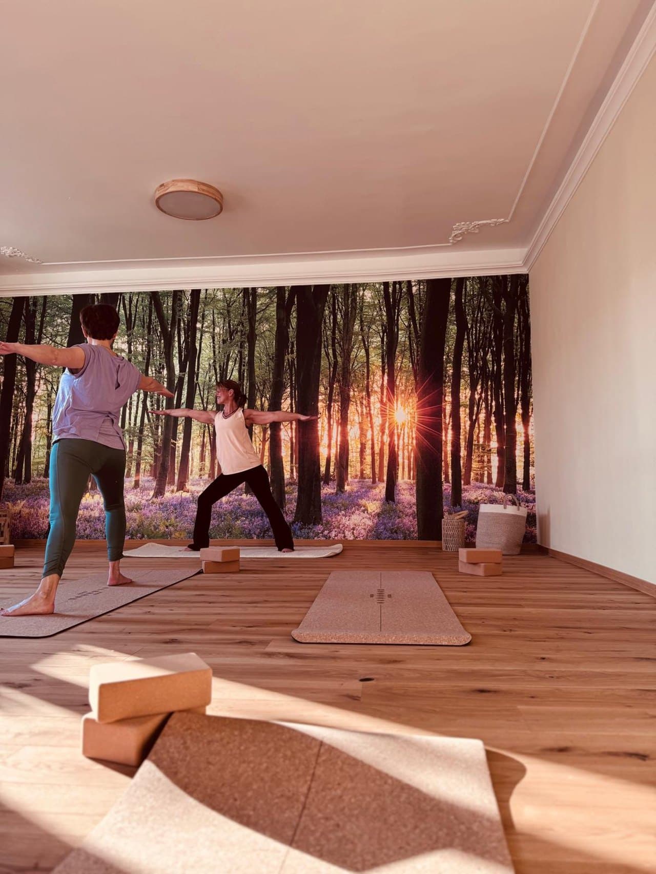 Heller Yogaraum im Wohlfühlraum am Wagram