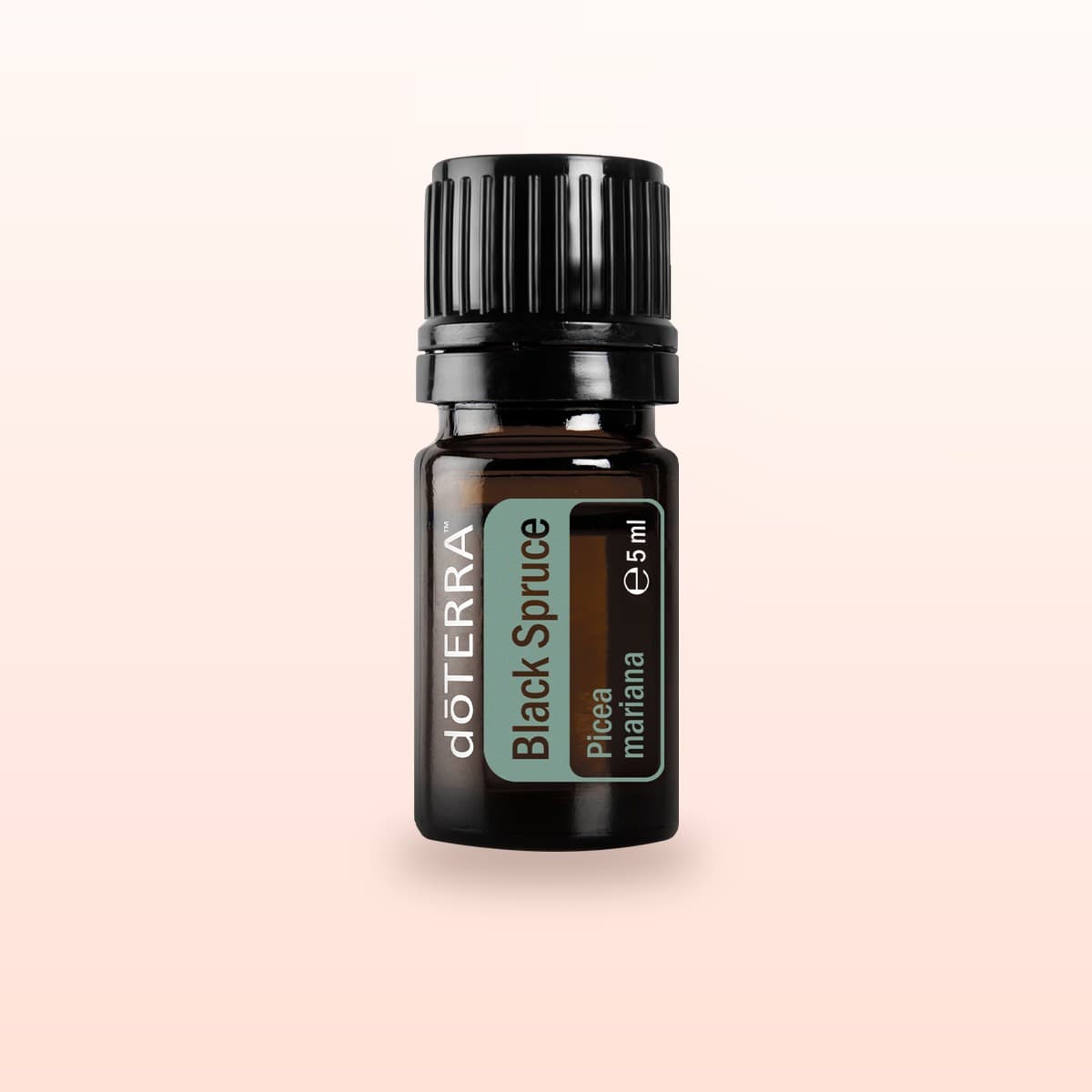 doTERRA Black Spruce 5 ml Produktfoto