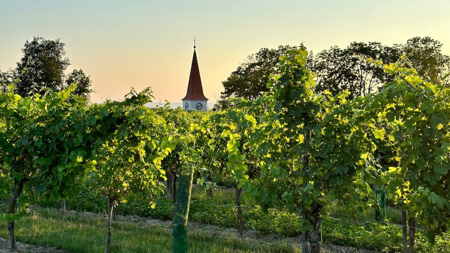 Einblick in den Wohlfühlraum am Wagram – Bild 26