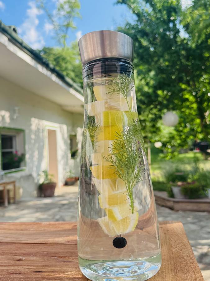 Einblick in den Wohlfühlraum am Wagram – Bild 42